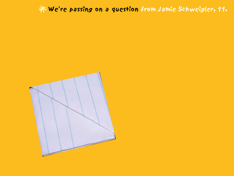 Mailer Front